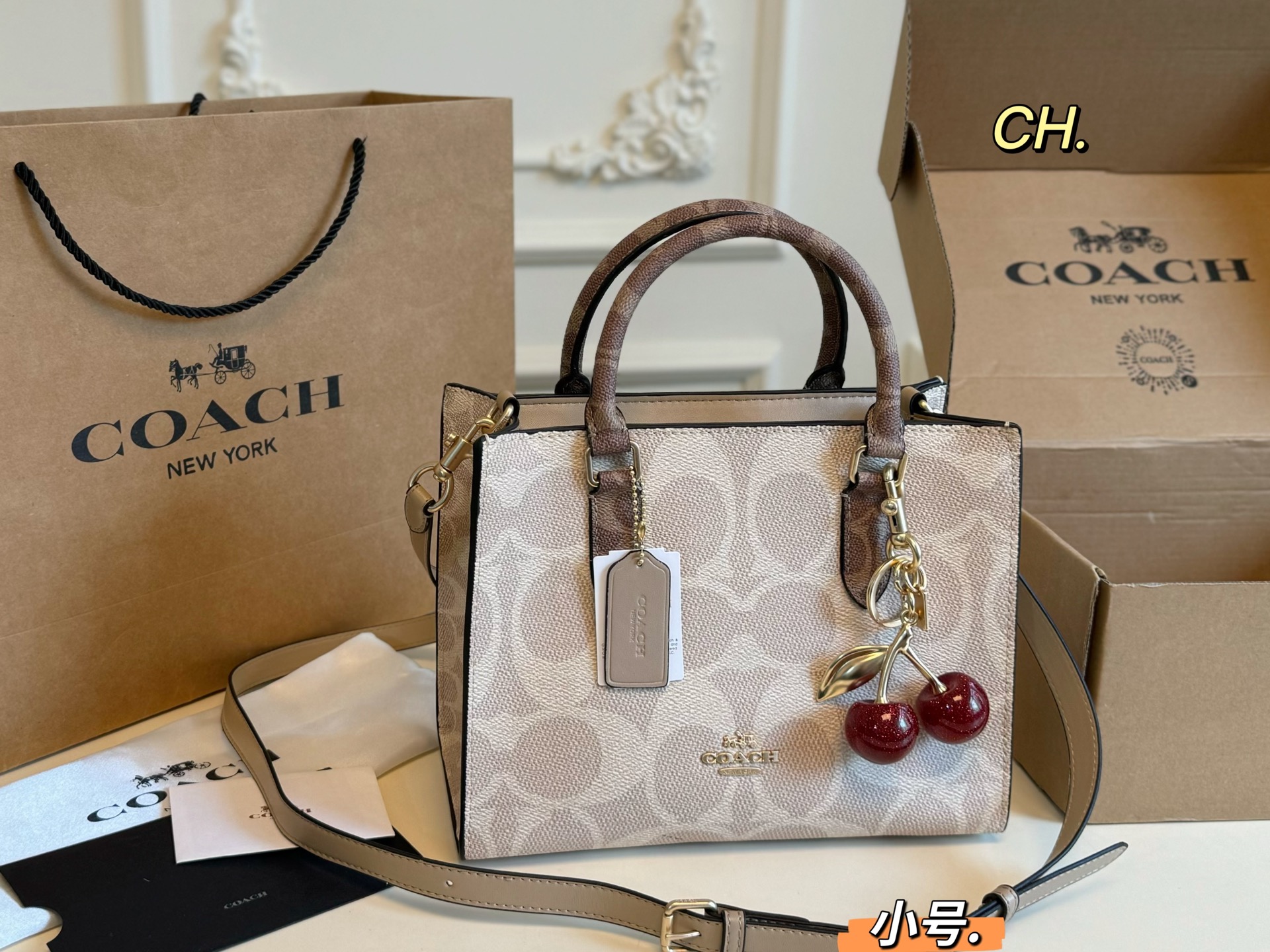 coach bag 117